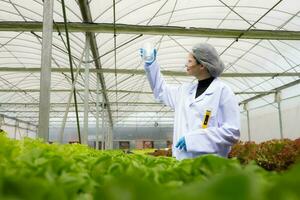 Scientists are conducting research and development on the cultivation of organic vegetables in a closed farm. photo