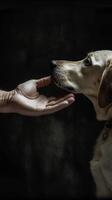 A man strokes a dog. The hand touches the dog. Generative AI. photo