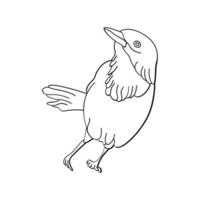 Bird outline vector for coloring book and tattoo design. Bird line art. Bird vector illustration. Bird outline. Bird line art. Hand drawn bird.