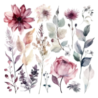 Set of watercolor flowers leaves and twigs png