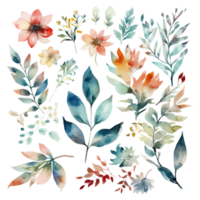 ensemble de aquarelle fleurs feuilles et brindilles png