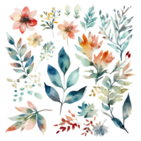 Set of watercolor flowers leaves and twigs png