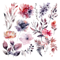 Set of watercolor flowers leaves and twigs png