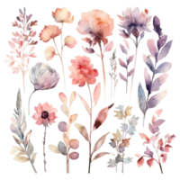 Set of watercolor flowers leaves and twigs png