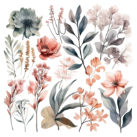 Set of watercolor flowers leaves and twigs png