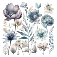 ensemble de aquarelle fleurs feuilles et brindilles png