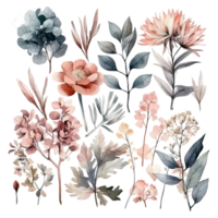 Set of watercolor flowers leaves and twigs png