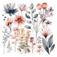 Set of watercolor flowers leaves and twigs png