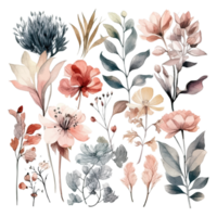 Set of watercolor flowers leaves and twigs on a white background png