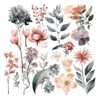 Set of watercolor flowers leaves and twigs on a white background png