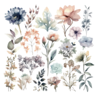 Set of watercolor flowers leaves and twigs on a white background png