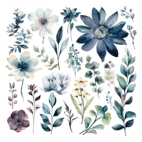 Set of watercolor flowers leaves and twigs on a white background png