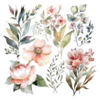 Set of watercolor flowers leaves and twigs on a white background png