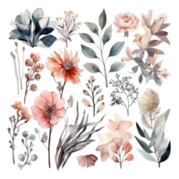 Set of watercolor flowers leaves and twigs on a white background png