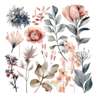 Set of watercolor flowers leaves and twigs on a white background png