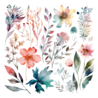 einstellen von Aquarell Blumen Blätter und Zweige auf ein Weiß Hintergrund png