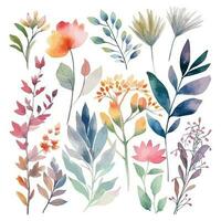 Set of watercolor flowers leaves and twigs on a white background vector