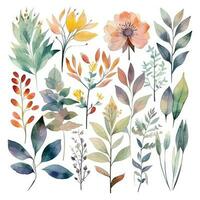 Set of watercolor flowers leaves and twigs on a white background vector