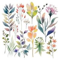 Set of watercolor flowers leaves and twigs on a white background vector