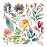 Set of watercolor flowers leaves and twigs on a white background vector