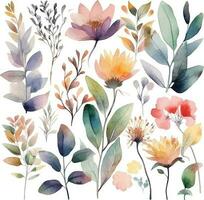 Set of watercolor flowers leaves and twigs on a white background vector