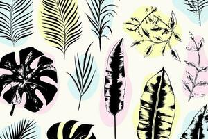 illustration set of tropical plants and leaves, hand drawn style, outline sketch. vector