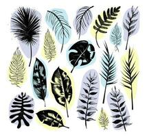 illustration set of tropical plants and leaves, hand drawn style, outline sketch. vector