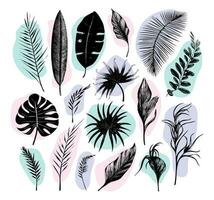 illustration set of tropical plants and leaves, hand drawn style, outline sketch. vector