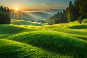 Summer landscape of grass and trees. photo