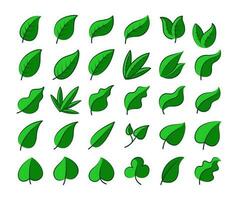 Green Leaf Vector Collection