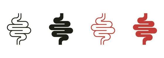 Intestine Line and Silhouette Color Icon Set. Health Colon, Small Gut, Bowel, Human Digestive System Pictogram. Gastrointestinal Inflammation Symbol Collection. Isolated Vector Illustration.