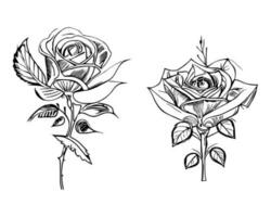 Beautiful Hand drawn flower Roses vector