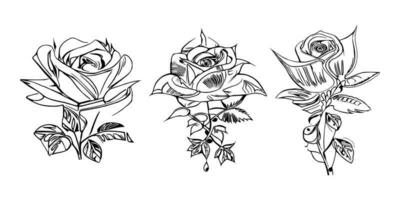 Beautiful Hand drawn flower Roses vector