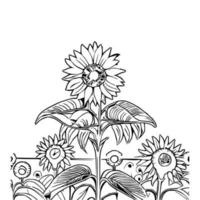 línea Arte girasol vector