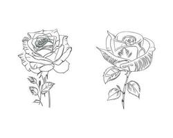 Beautiful Hand drawn flower Roses vector