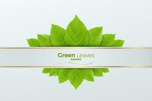 3D Green leaves realistic vector and gold luxury banner, Minimal scene for products showcase, Promotion display, eco environment.You can used for Marketing promotion,  presentation layout, print ad.