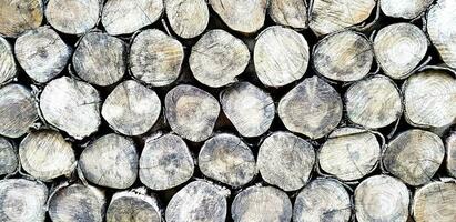 Close up log, wood pile or timber stack for background. Art wallpaper, Natural material, Abstract and Round shape concept photo