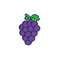 grape icon vector