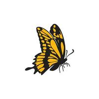 butterfly graphic design vector