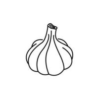 garlic icon vector