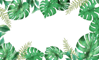 Monstera partire telaio nel acquerello png