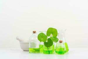 White Background Centella asiatica gotu for Biological experiment presentation Centella asiatica leaves and green water in biological test tubes. photo