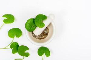 Top view on table centella asiatica leaves with isolated on white background photo