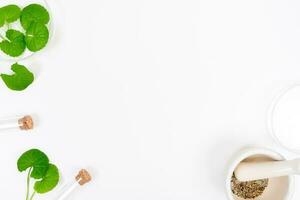 Top view on table centella asiatica leaves with isolated on white background photo