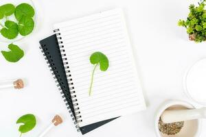 Top view on table centella asiatica leaves with isolated on white background photo