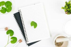 Top view on table centella asiatica leaves with isolated on white background photo