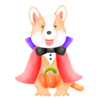 Watercolor style Pembroke Welsh Corgi holding a pumpkin and dressed as a cute vampire to celebrate Halloween png