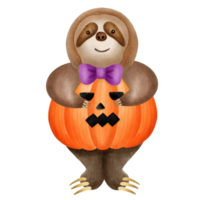 A cute sloth dressed as a pumpkin in a watercolor illustration for Halloween png