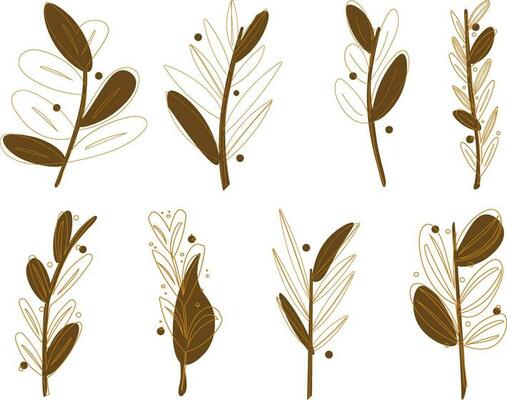 Set of hand drawn doodle branches and leaves. Vector illustration
