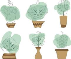 Set of different potted plants. Vector illustration in flat style.